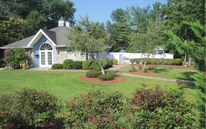 Screen Shot 2018-08-29 at 8.54.34 AM