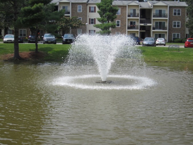 UNADJUSTEDNONRAW_thumb_1f71