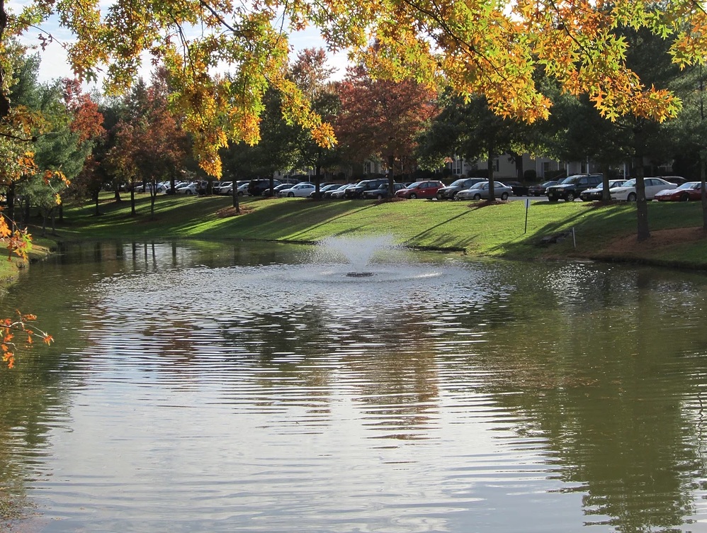 UNADJUSTEDNONRAW_thumb_1f95